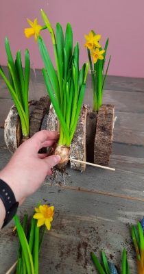 philippo-rozen-diy-stap2.2